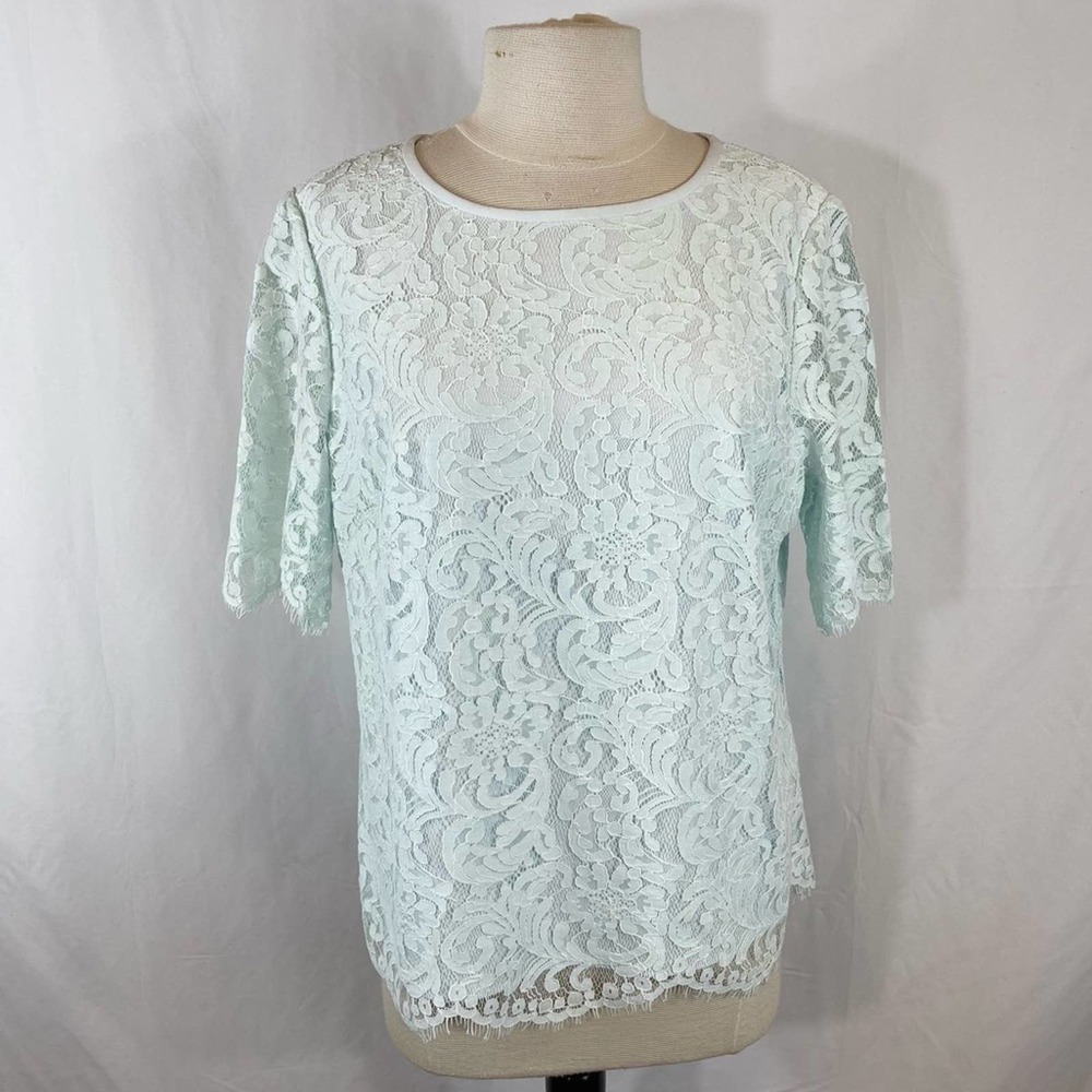Ted Baker Light Blue Lace Short Sleeve Raw Hem blouse Size 5 XL